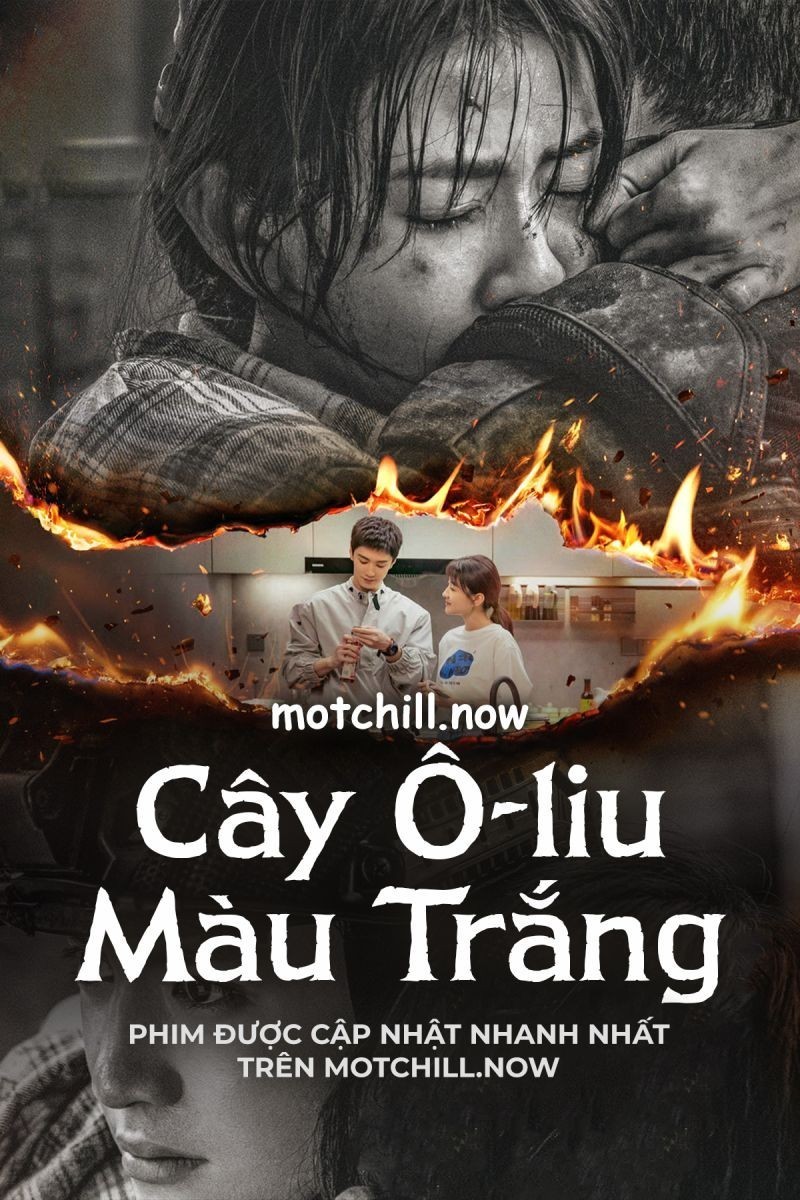 Xem phim Cây Ô Liu Màu Trắng (Thuyết Minh)